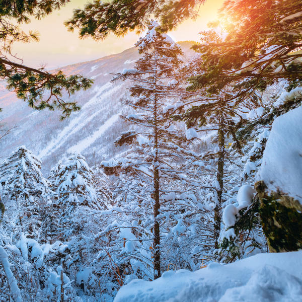 Winter landscape by Black-Bl00d
