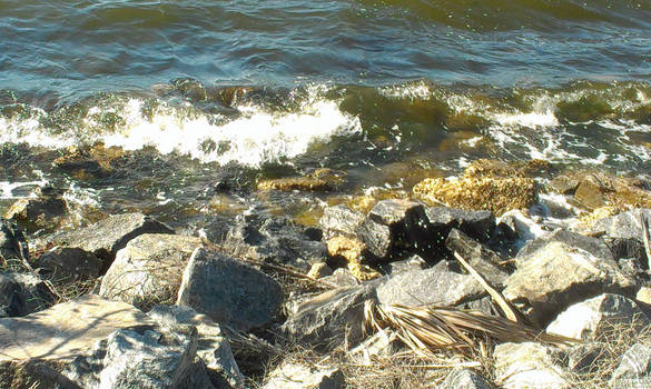 Ocean at Melbourne Beach