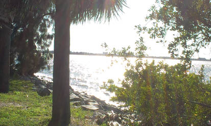 Melbourne beach scenery