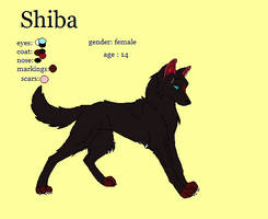 shiba ref. sheet