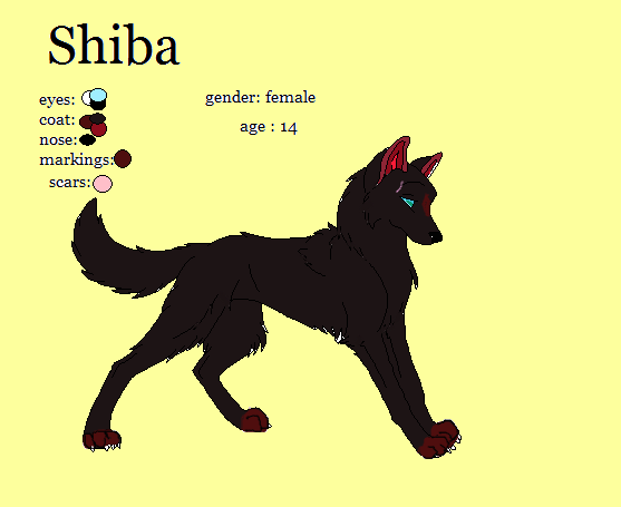 shiba ref. sheet