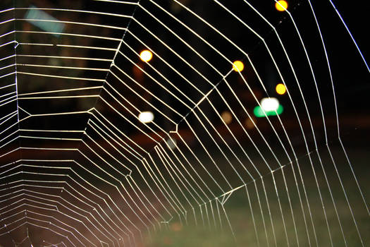 Bokeh Spiderweb