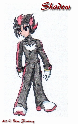 Human Shadow the Hedgehog