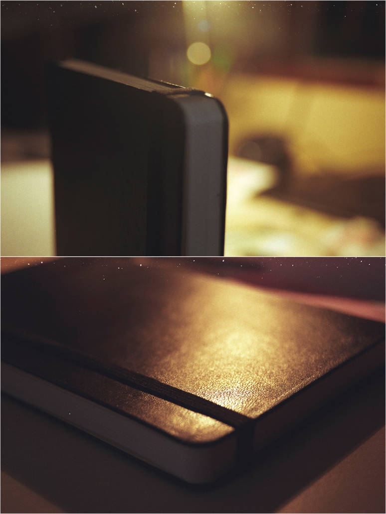 My moleskine