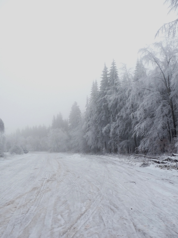 Freezing Fog