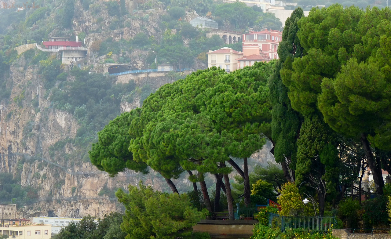 Monaco Scenery