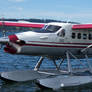 Turbo Otter