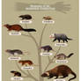 Commission: Synapsids of the Morrison Formation