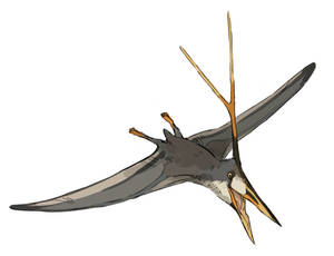 Nyctosaurid Earth: Aerial Predator