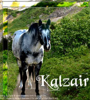 Kalzair for Rainfall