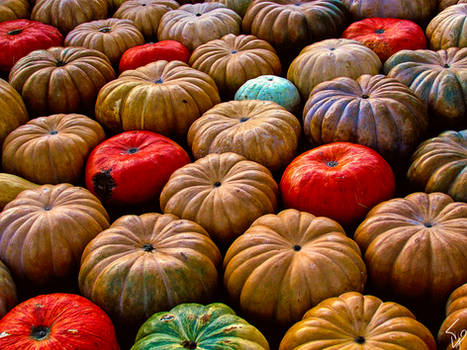 Pumpkins