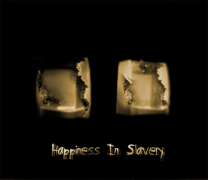 Happiness In Slavery