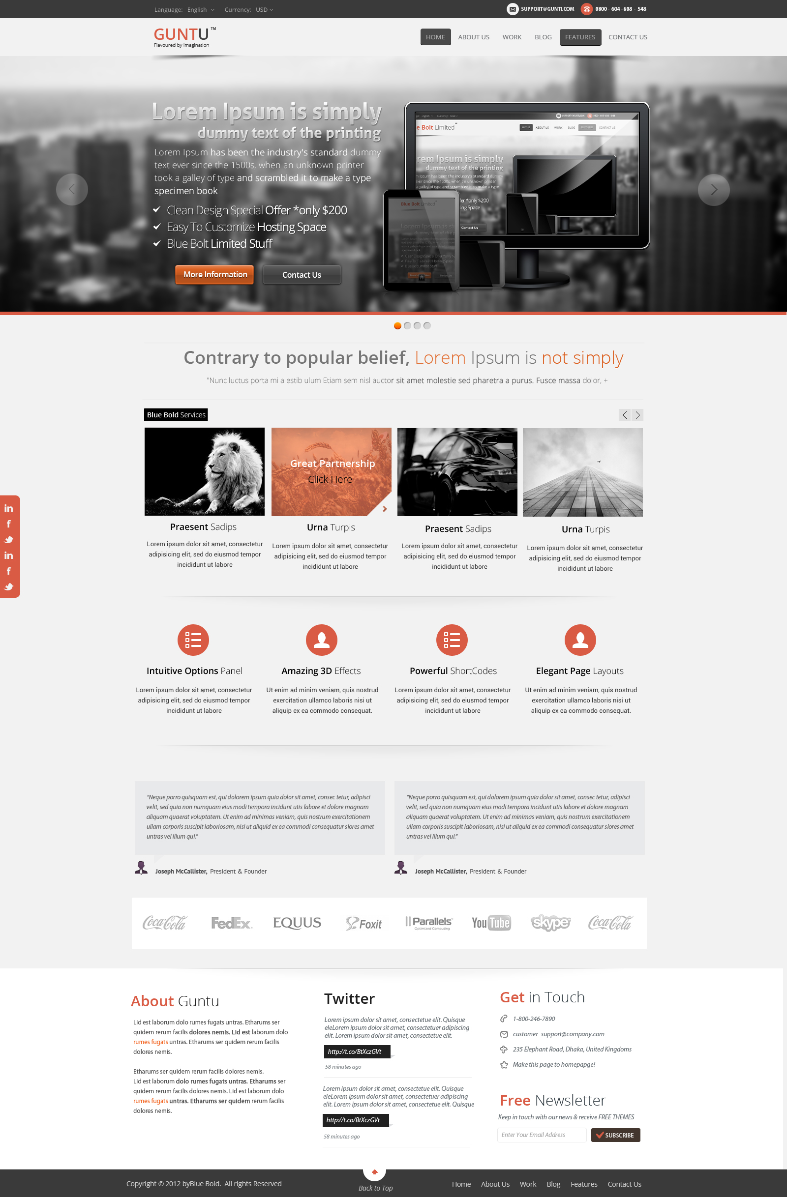 Guntu Web Design