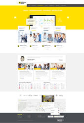 Raiffeisen Bank Serbia Concept Web Design