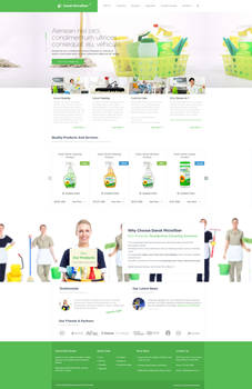 Cleaning Company Web Design