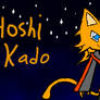 Hoshi Kado here!