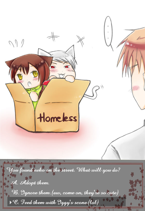 Homeless Neko