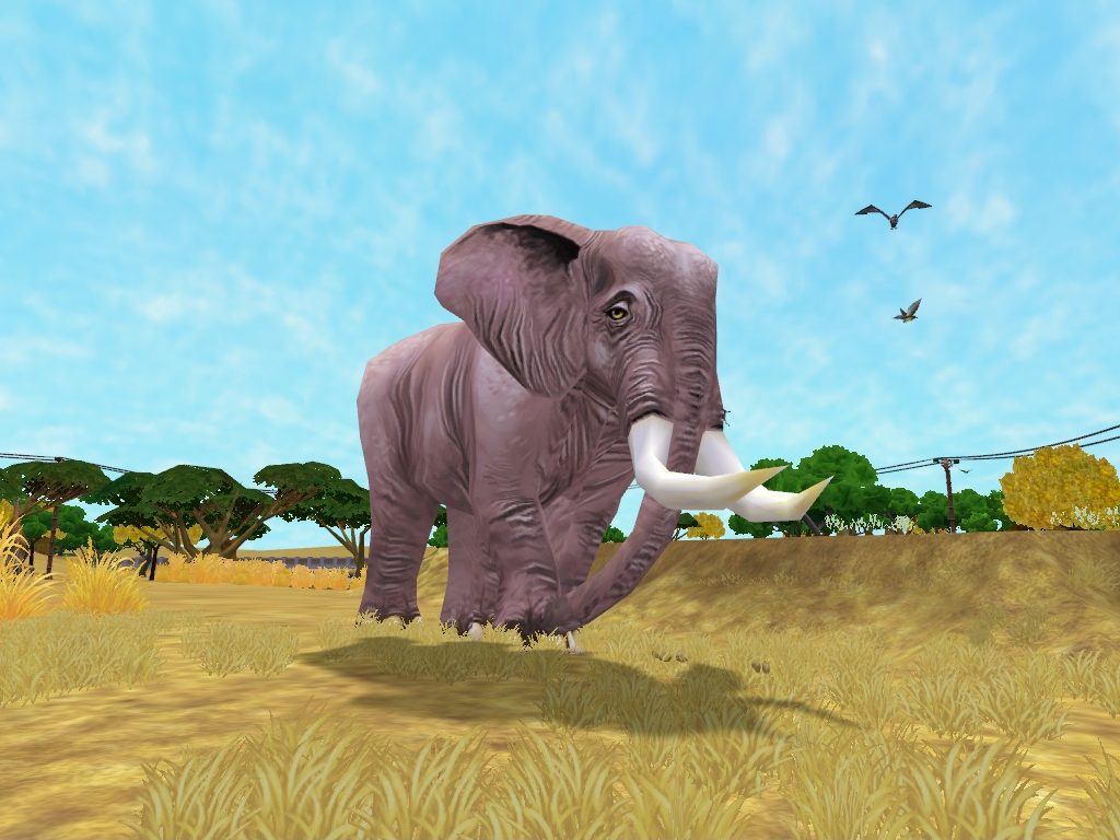Zoo Tycoon 2: African Elephant (Male) by MF217 on DeviantArt