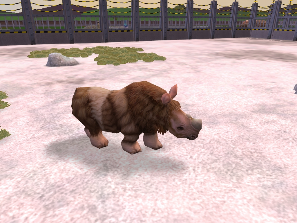 Zoo Tycoon 2: Baby Woolly Rhinoceros by MF217 on DeviantArt