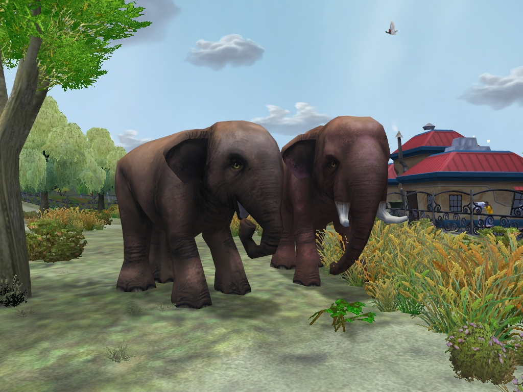 Zoo Tycoon 2: Asian Elephants by MF217 on DeviantArt