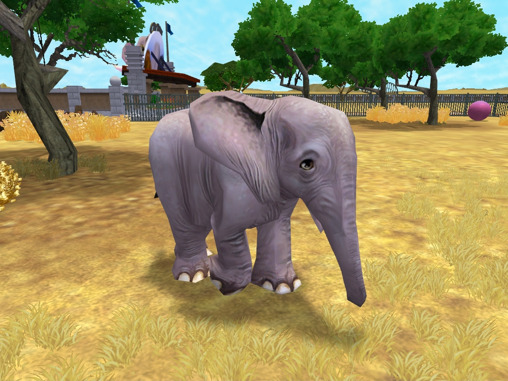 Zoo Tycoon 2: Baby African Elephant by MF217 on DeviantArt