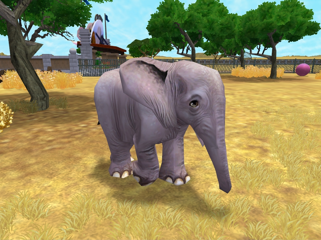 Zoo Tycoon 3 (2018) - Animals (Africa) by 98bokaj on DeviantArt