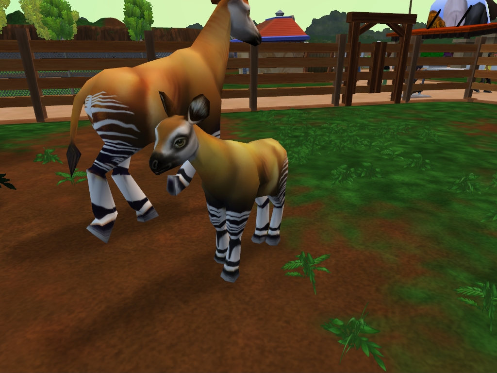 🦓 A New (old) Zoo!  Zoo Tycoon 2 