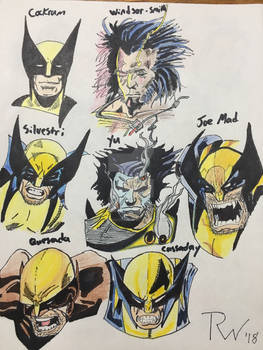 Wolverine 7 Styles