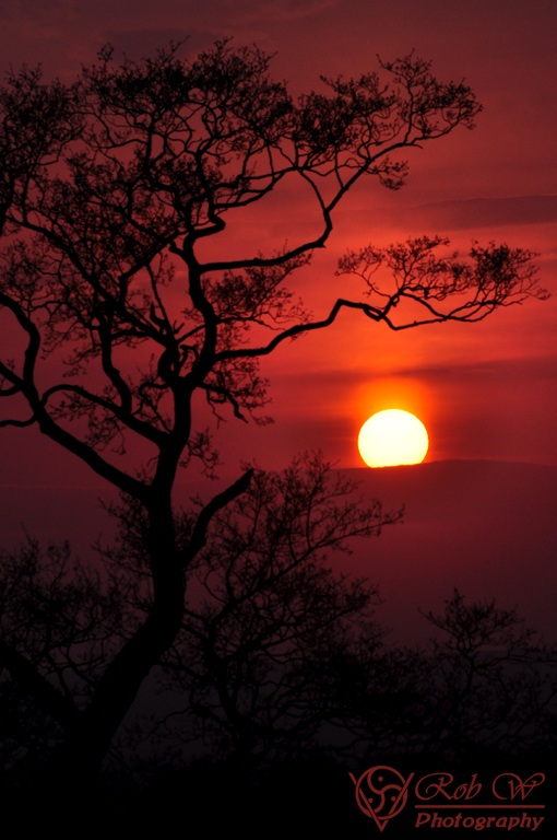 Yorkshire Sunset