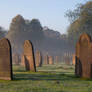 Tonge Cemetery 29