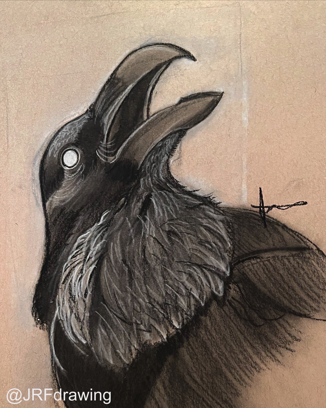 Raven Charcoal Drawing – CarlaThomsonArt