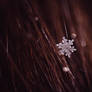 snow flake II