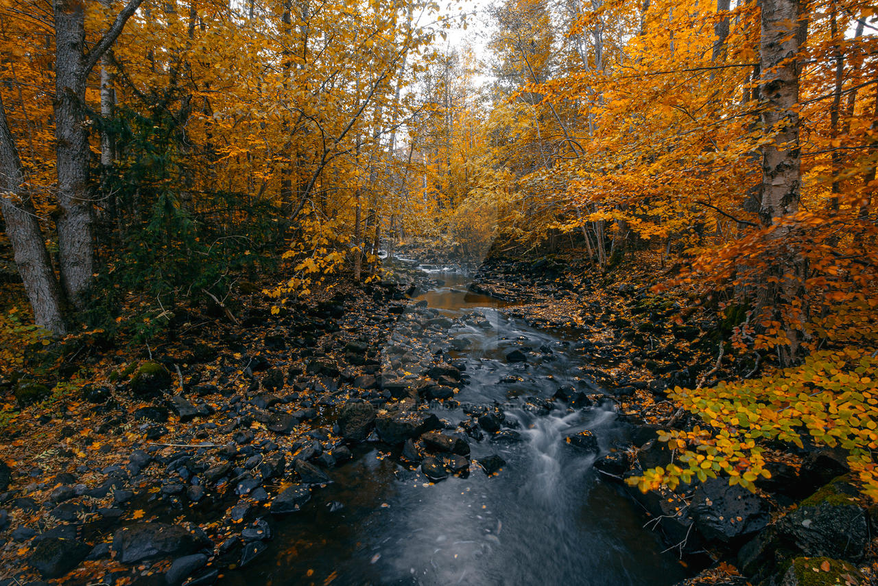 Cold Rivrrr Cold river by micaelacederlund on DeviantArt