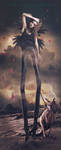 Jump! by cocoanderson Jump! by cocoanderson