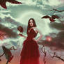 Lady of the Crows