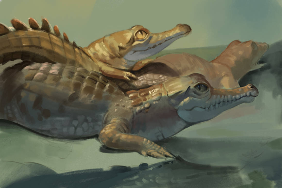 Croco study by MILICRAFT on DeviantArt