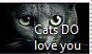 Cats Love YOU Stamp
