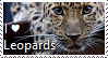 i Love Leopards Stamp by TheMoonRaven