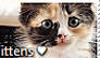 I Love Kittens Stamp