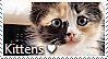 I Love Kittens Stamp