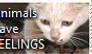Animals have feelings