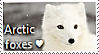 Arctic Fox Stamp