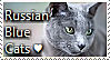 Russian Blue Cat Stamp by TheMoonRaven