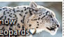 Snow Leopard Stamp