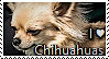 Chihuahua Stamp by TheMoonRaven