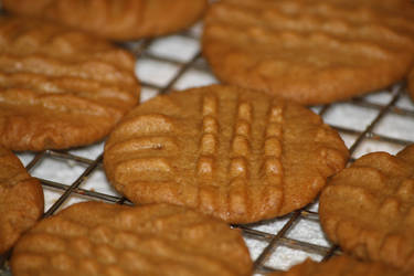 Peanut Butter Cookies