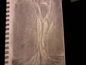 Charcoal Tree