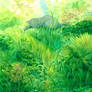 Cat in grass bush