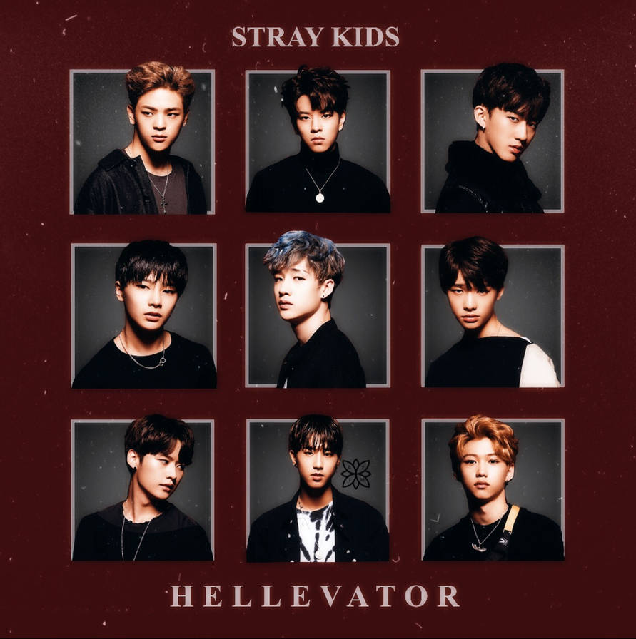 In life stray kids