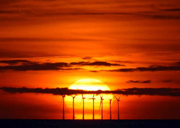 Windfarm Sunset